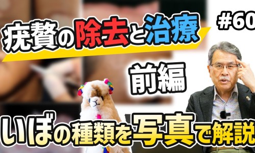 抗癌药的功效与作用-抗癌胶囊有什么网抗癌药效果怎么样知识网站,分享抗癌胶囊有什么副作用大全